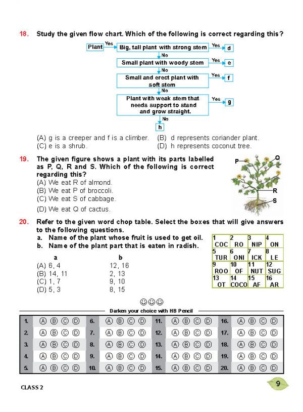 Class 2 NSO National Science Olympiad Work Book - MTG