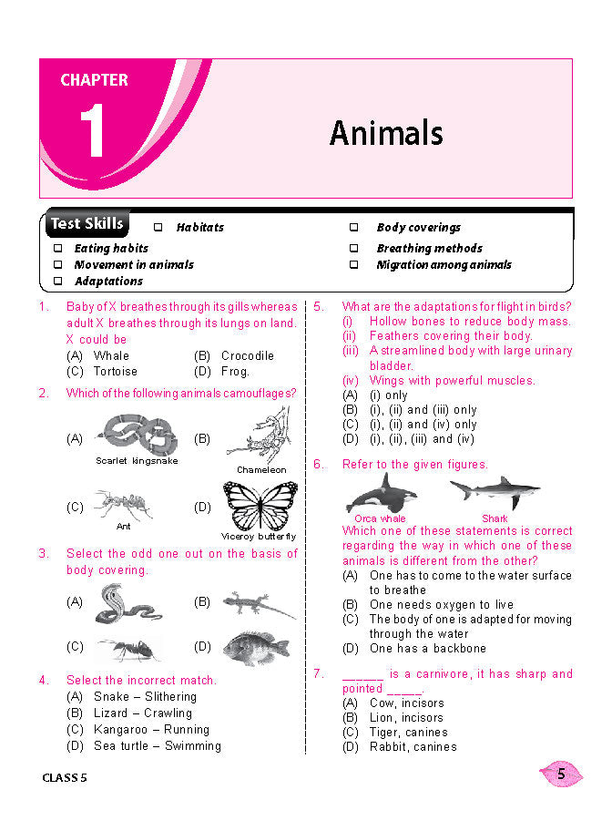 MTG NSO Olympiad Workbook Class 5 - Fast Rajasthan Delivery ₹109 Total