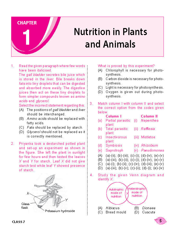 MTG NSO Olympiad Workbook Class 7 - Fast Rajasthan Delivery ₹109 Total