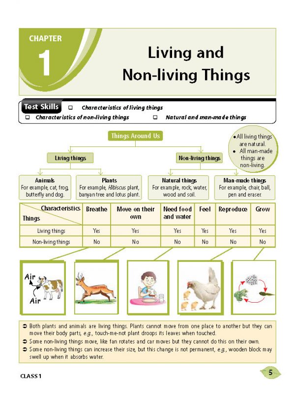 एमटीजी एनएसओ ओलंपियाड वर्कबुक कक्षा 1 - एक्सप्रेस डिलीवरी ₹119 कुल