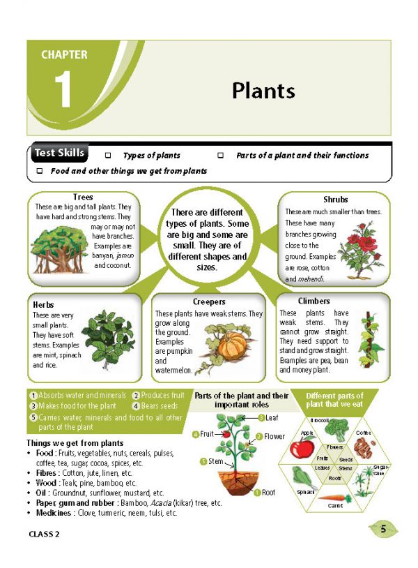 एमटीजी एनएसओ ओलंपियाड वर्कबुक कक्षा 2 - एक्सप्रेस डिलीवरी ₹119 कुल