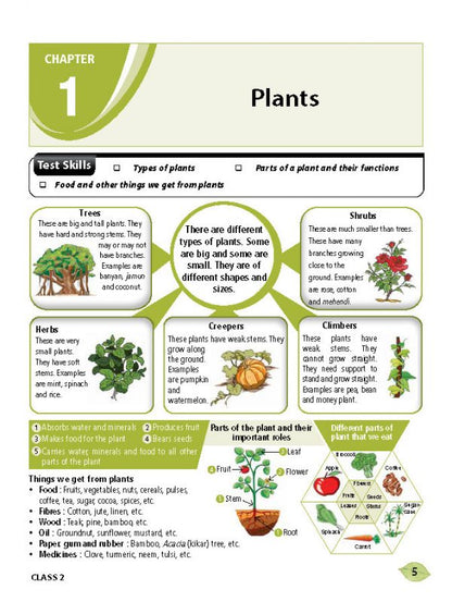 एमटीजी एनएसओ ओलंपियाड वर्कबुक कक्षा 2 - एक्सप्रेस डिलीवरी ₹119 कुल
