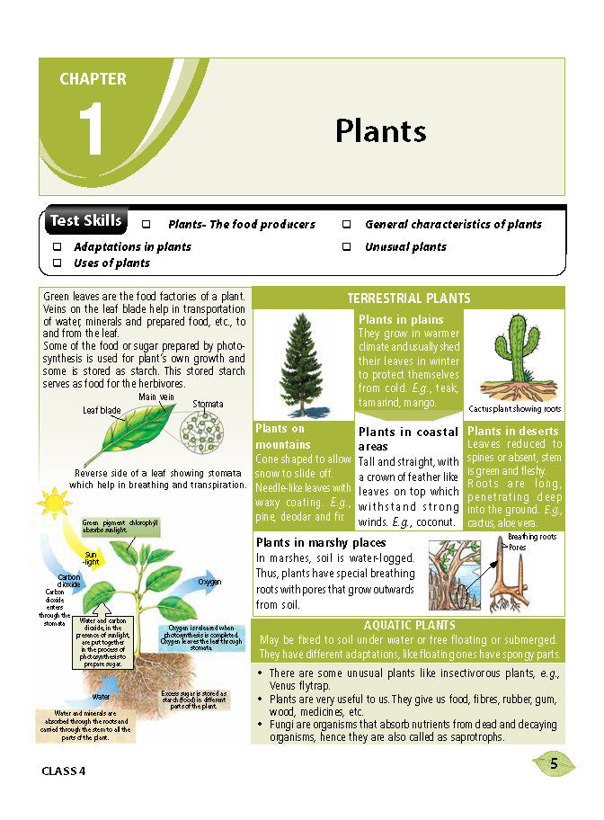 एमटीजी एनएसओ ओलंपियाड वर्कबुक कक्षा 4 - एक्सप्रेस डिलीवरी ₹119 कुल