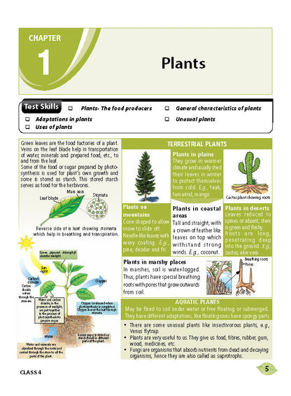 एमटीजी एनएसओ ओलंपियाड वर्कबुक कक्षा 4 - एक्सप्रेस डिलीवरी ₹119 कुल